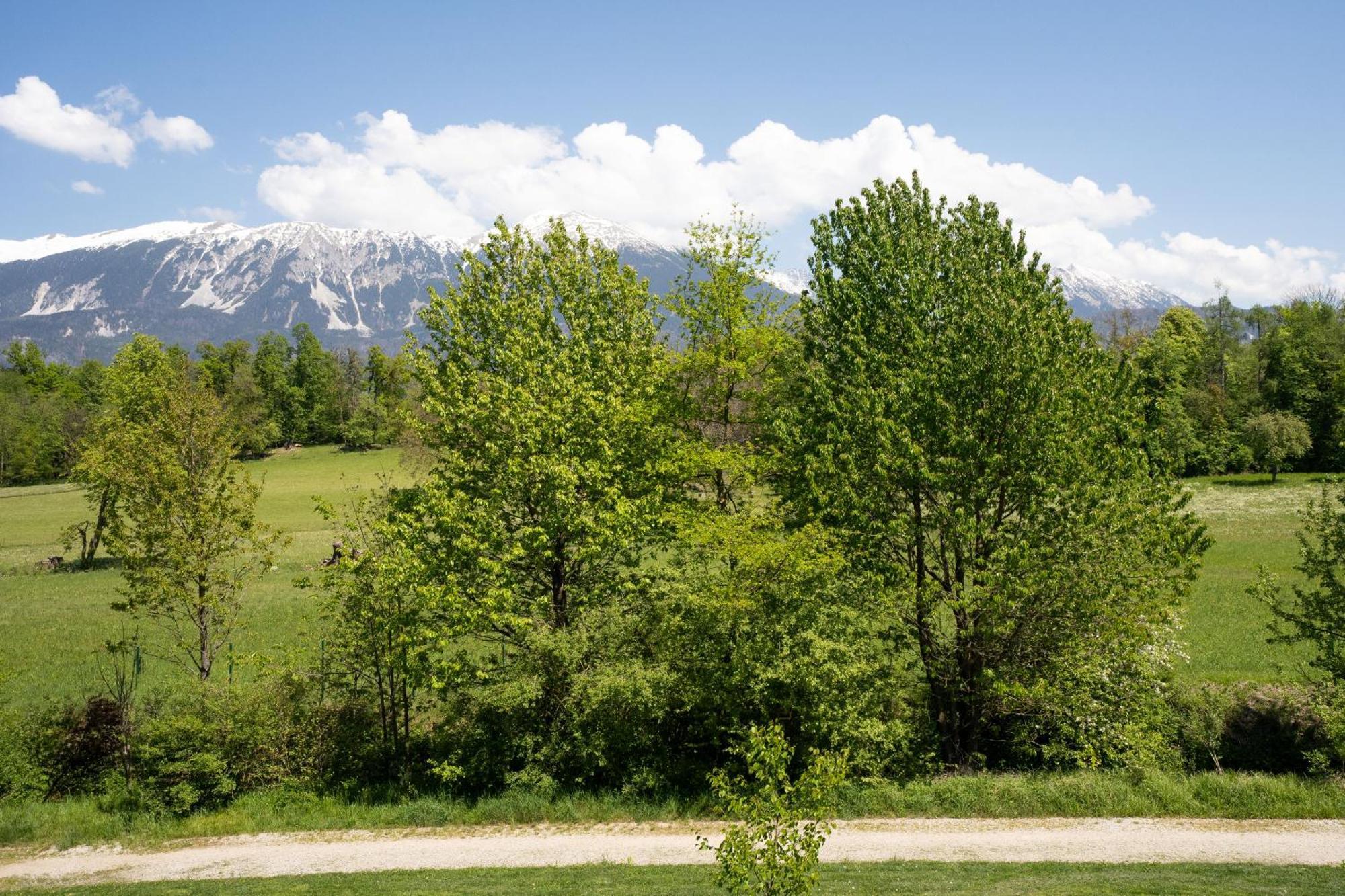 Mountain Suite Jula Блед Экстерьер фото